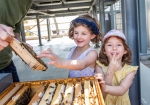 teaserwienmittebienen © WIEN MITTE The Mall