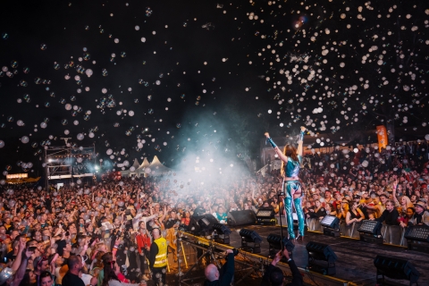TeaserDonauinselopenair2025 © Weitblick Renate Steinberger