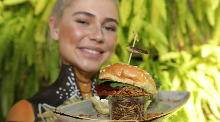 teaserinsektenburger © Robinconsult_Lepsi