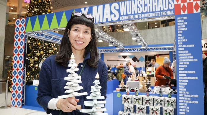 teaserxmaswunschhaus © ROBIN CONSULT Lepsi